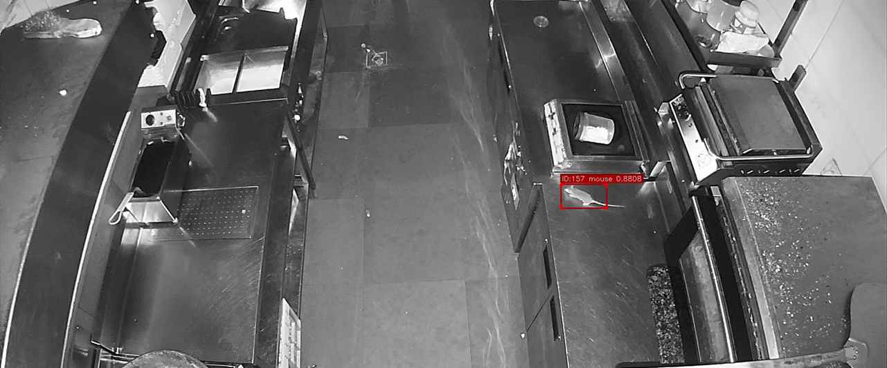 CCTV Patrol detecting a pest (rodent) in a kitchen at night using IR vision